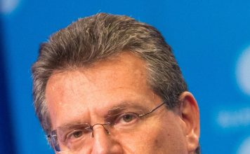 EU Court of Auditors slams joint EU purchasing of gas