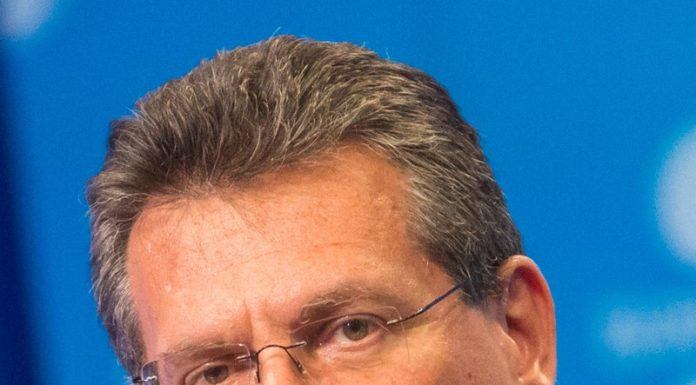 EU Court of Auditors slams joint EU purchasing of gas