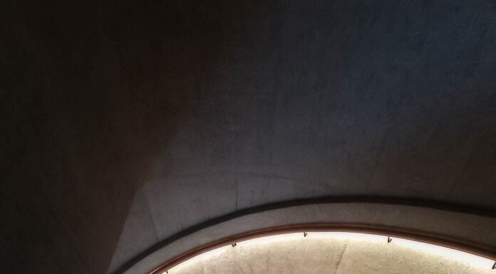 The EU’s Vaping Misstep: Putting Lives and Public Health at Risk