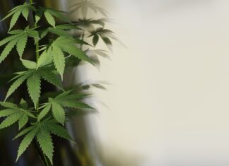 Europe has lost the war on drugs. It’s time for a different approach