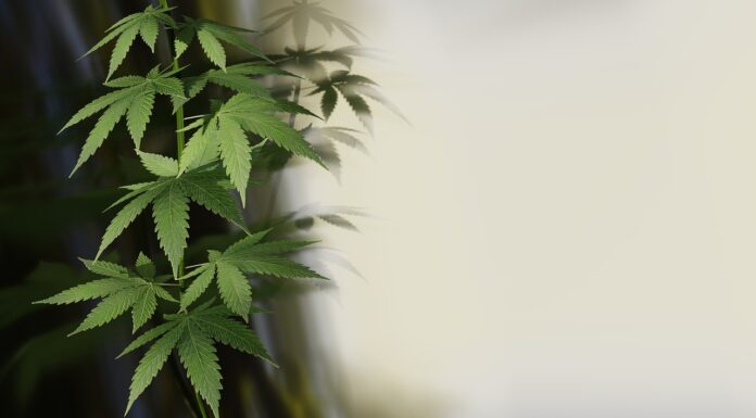 Europe has lost the war on drugs. It’s time for a different approach