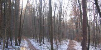 Europe faces urgent policy choices