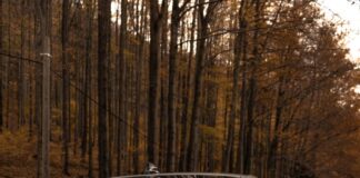 The EU is pushing the European car industry to the brink