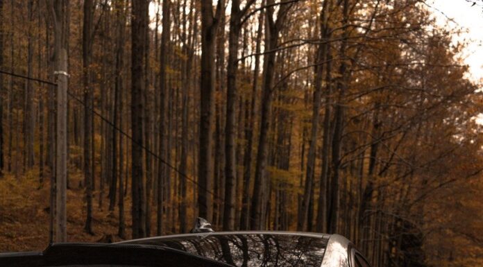 The EU is pushing the European car industry to the brink