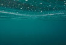 Europe’s Strategic Blind Spot: Securing Undersea Cables