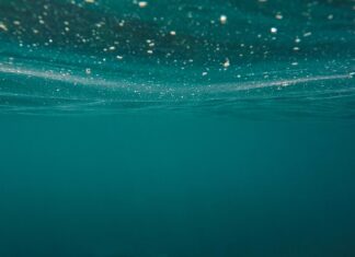 Europe’s Strategic Blind Spot: Securing Undersea Cables