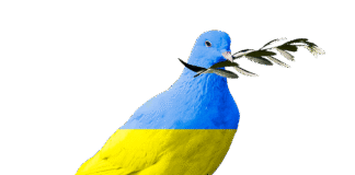 A breakthrough for peace in Ukraine or more of the same?