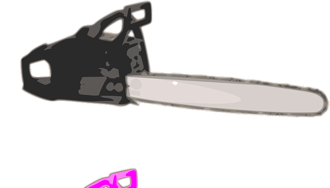 Why Cutting Bureaucracy Is a Near-Impossible Mission in a Representative Democracy