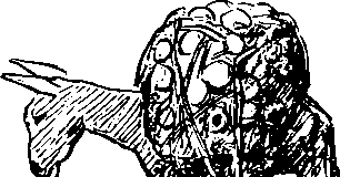 Europe’s small businesses face yet more new EU regulation