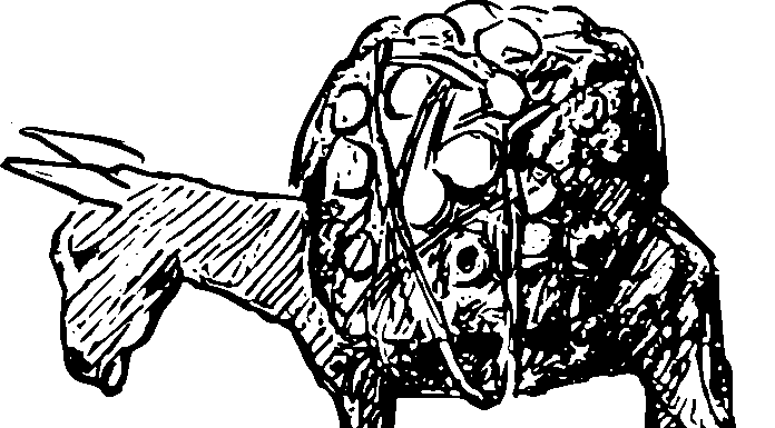 Europe’s small businesses face yet more new EU regulation