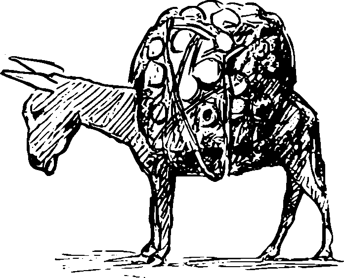 animal-1297461_1280