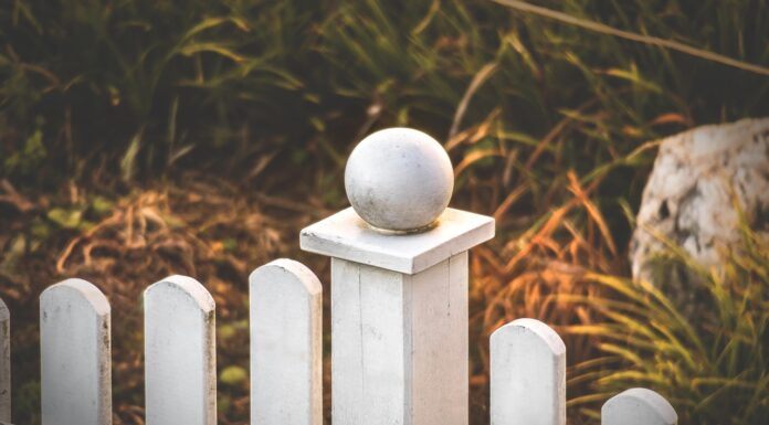 Double Standards at the Border: How the EU Applies Its Migration Rules Unevenly