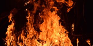 A bonfire of green EU policies?