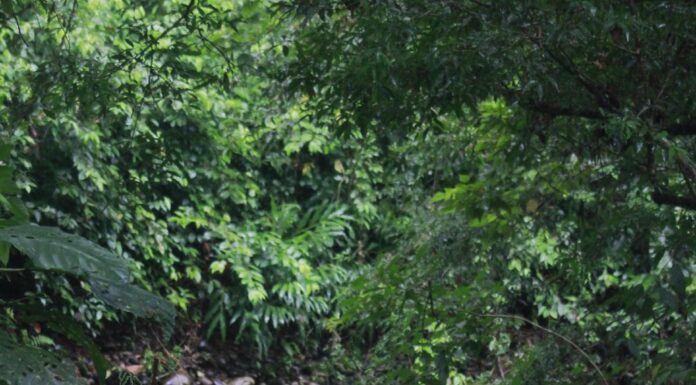 Despite public opposition, the EU doubles down on climate policy