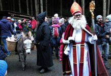 A black day for direct democracy in Switzerland