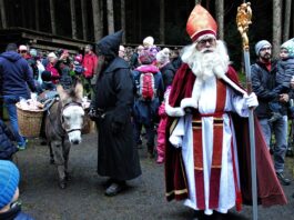 A black day for direct democracy in Switzerland