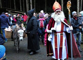 A black day for direct democracy in Switzerland