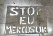 Protectionism is far from defeated in Europe