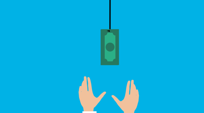 EU auditors highlight fraud with the EU’s €650 billion COVID fund