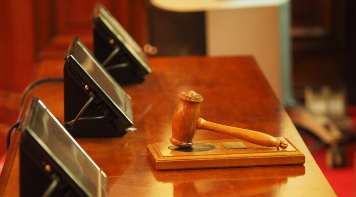 Greenpeace’s courtroom strategy raises eyebrows on both sides of the Atlantic