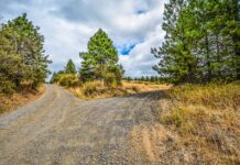 EU Trade Policy at a Crossroads