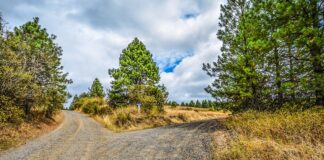 EU Trade Policy at a Crossroads