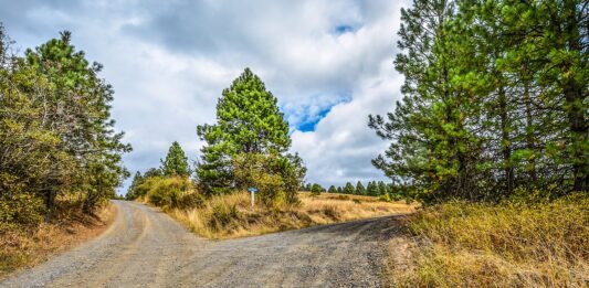 EU Trade Policy at a Crossroads