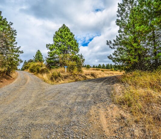 EU Trade Policy at a Crossroads