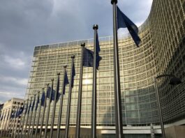The EU’s Precautionary State: When Fear and Regulation Undermine Innovation