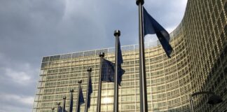 The EU’s Precautionary State: When Fear and Regulation Undermine Innovation