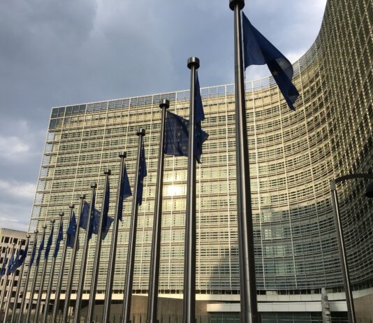The EU’s Precautionary State: When Fear and Regulation Undermine Innovation