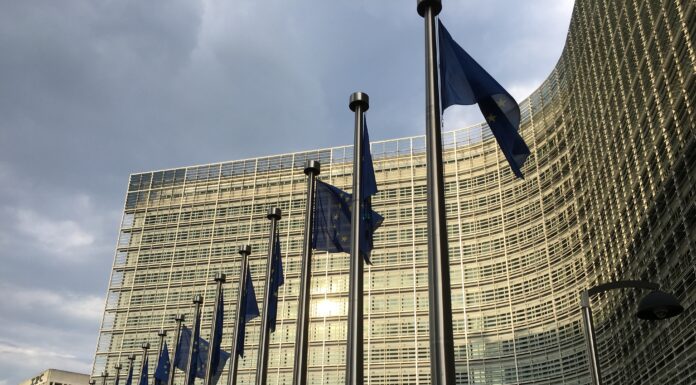 The EU’s Precautionary State: When Fear and Regulation Undermine Innovation
