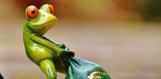 Rethinking EU Sin Taxes: The Need for an Evidence-Based Debate