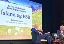 Why Iceland Rejected EU Membership