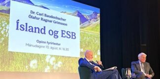 Why Iceland Rejected EU Membership
