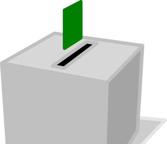 Did Immigrants Decide the Swedish Election?