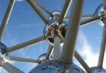 Brussels fails to live up to its potential as knowledge intensive region